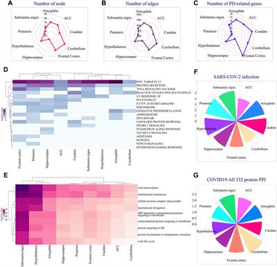 Characterization of exogenous αSN response genes and their relation to Parkinson’s disease using network analyses